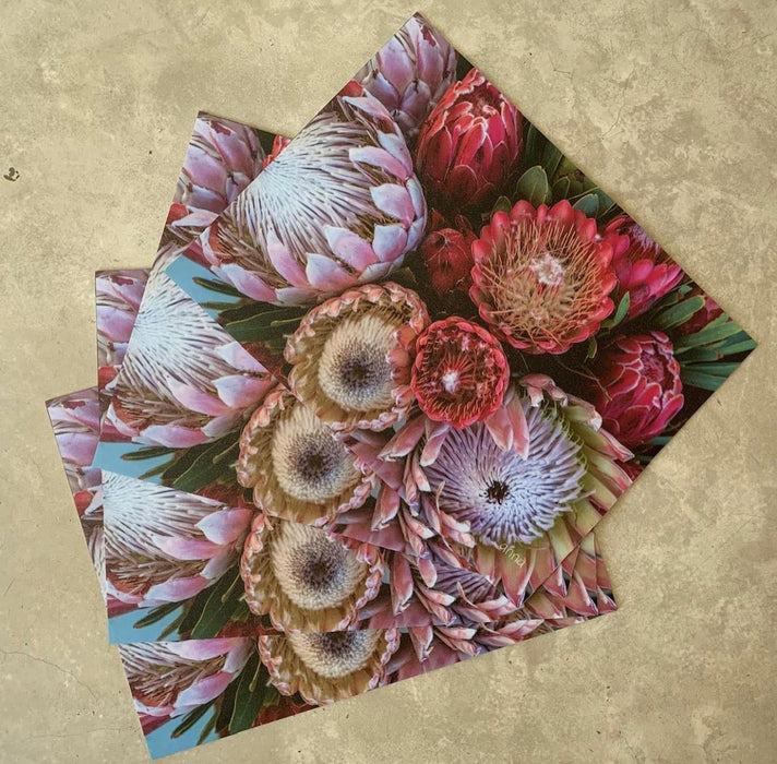 Anna's Pink Protea Vinyl Placemats (Set of 4)