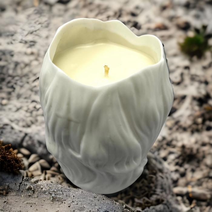 Madame Luna Barnacle Candle Votive