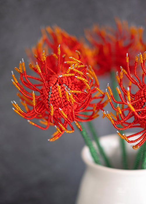 Beaded Pincushion Protea