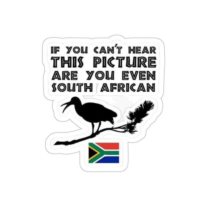 Are You Even South African?