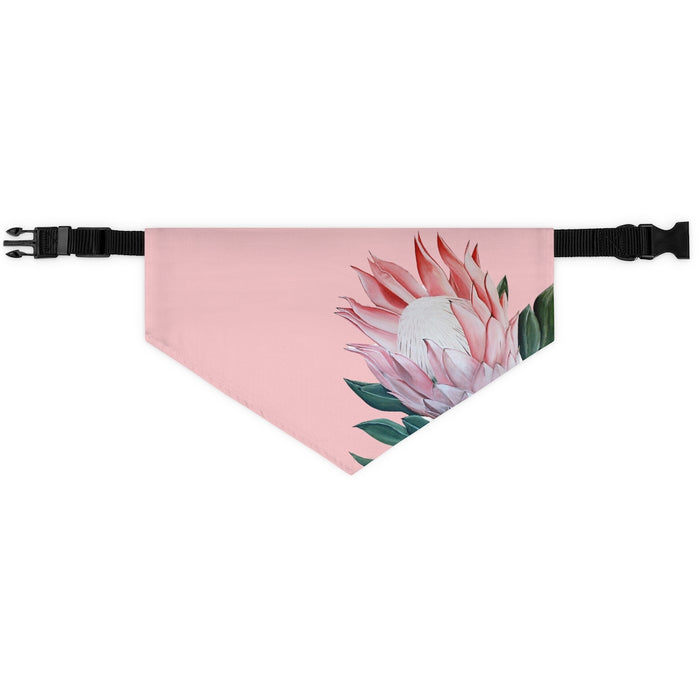 Pretty Protea Pet Bandana Collar