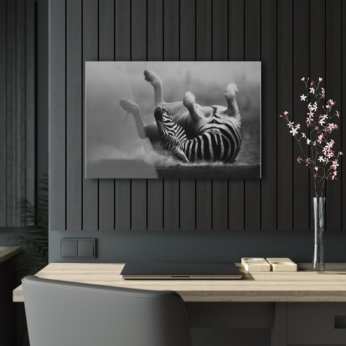 Playful Zebra by Swanepoel