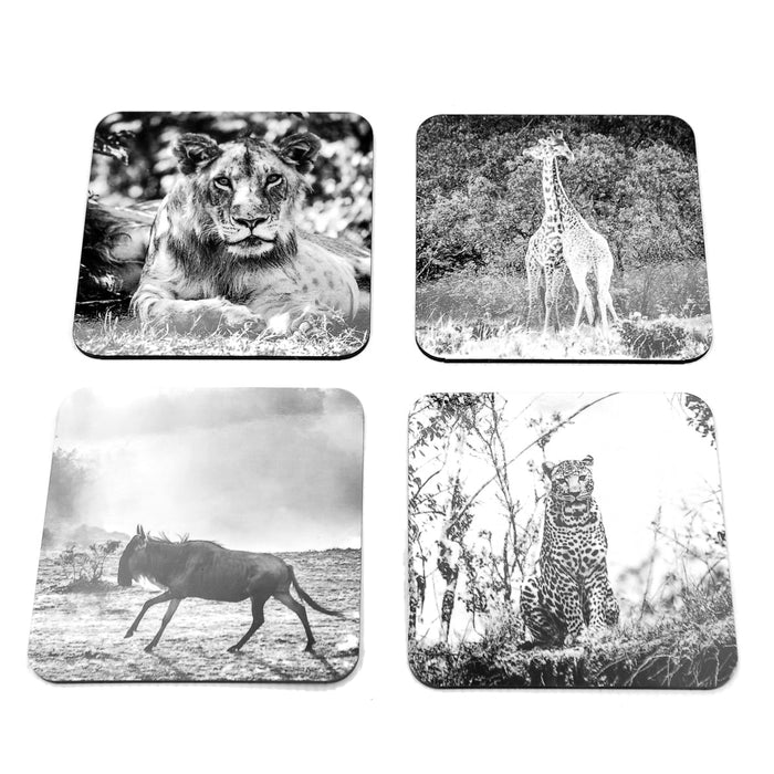 South African Wildlife Coasters