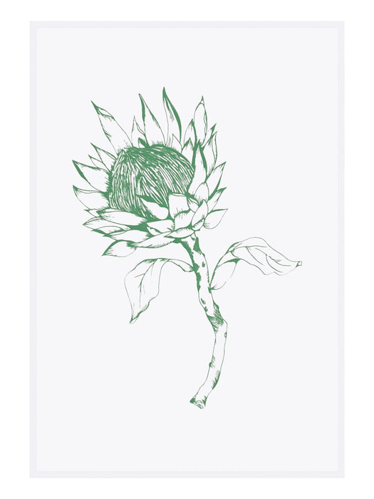 Protea Tea Towel